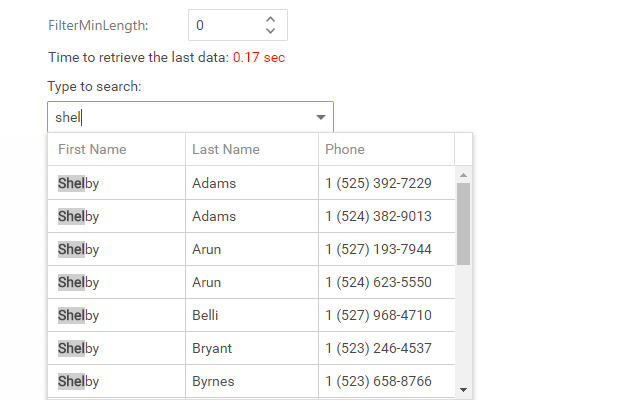 Combo Box - Filtering a Large Data Source