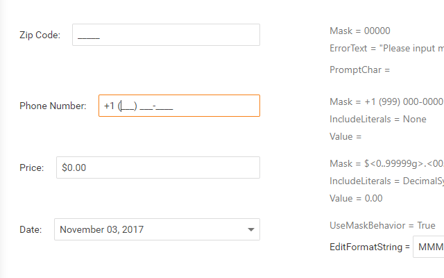 Masked Input